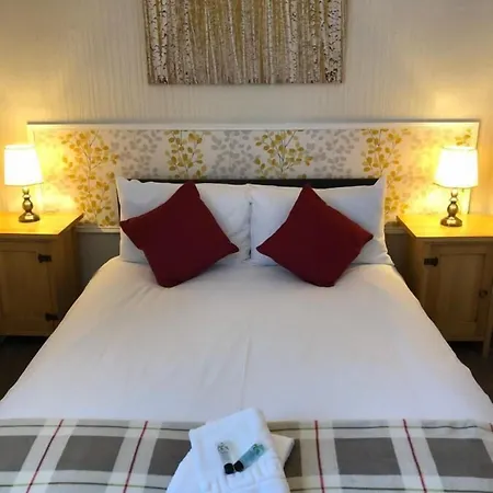 The Black Swan Leyburn